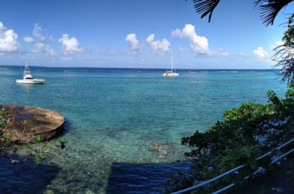 Home